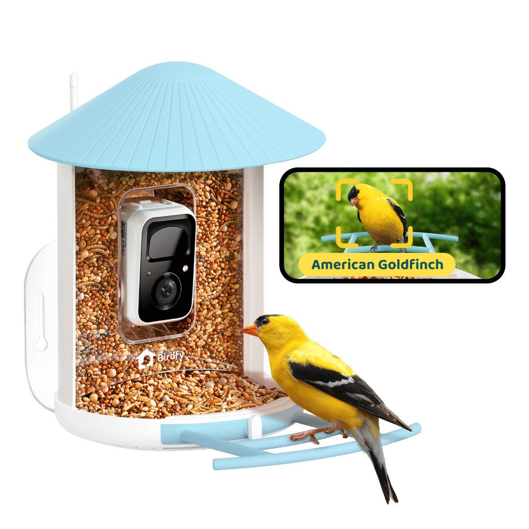 Birdfy Feeder - AI-Powered Smart Bird Feeder with Camera