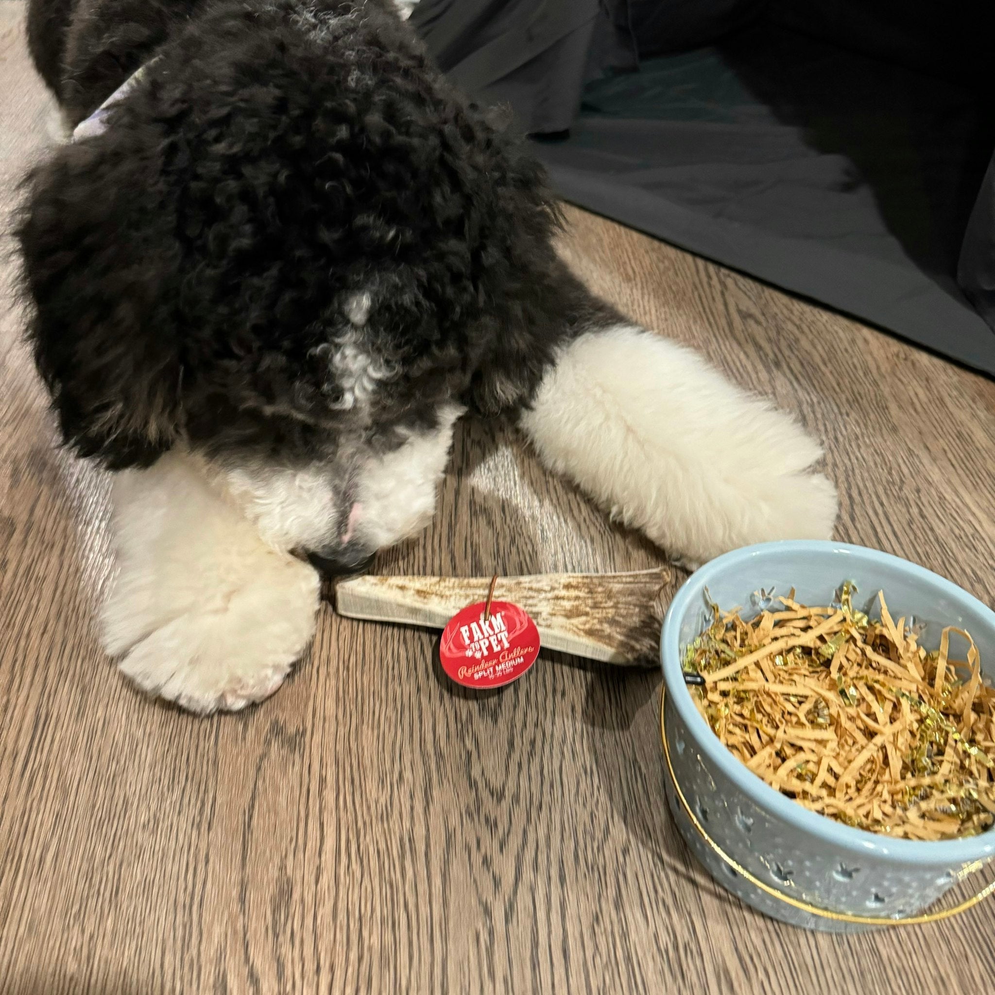 Reindeer Antler Dog Chews | Organic Chews for Dogs