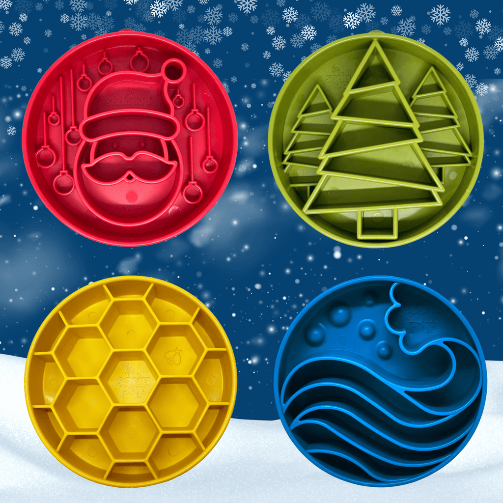 Slow Feeder Dog Bowls