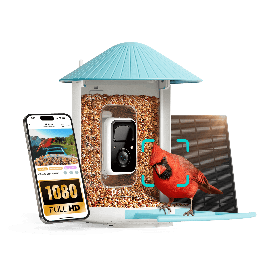 Birdfy Feeder - AI-Powered Smart Bird Feeder with Camera