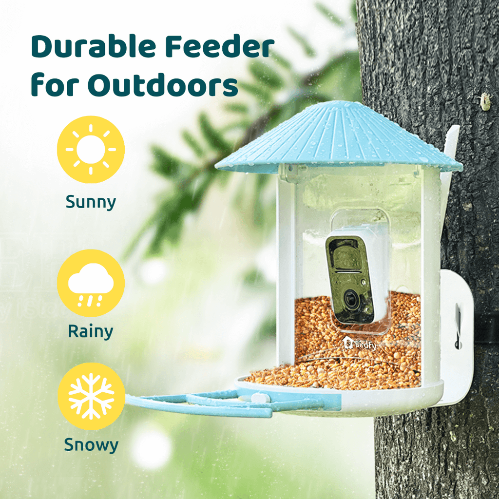 Birdfy Feeder - AI-Powered Smart Bird Feeder with Camera